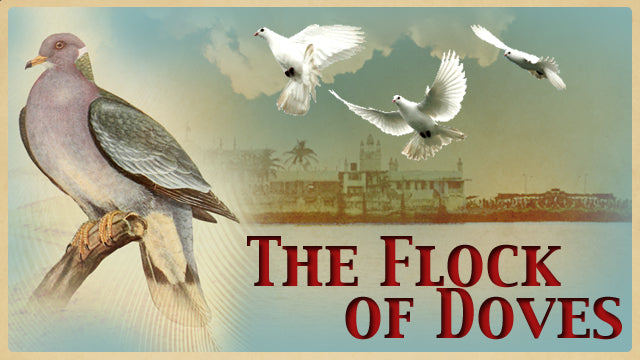 The Flock of Doves