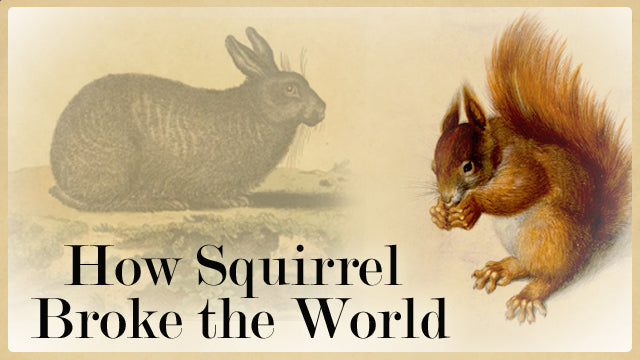 How Squirrel Broke The World