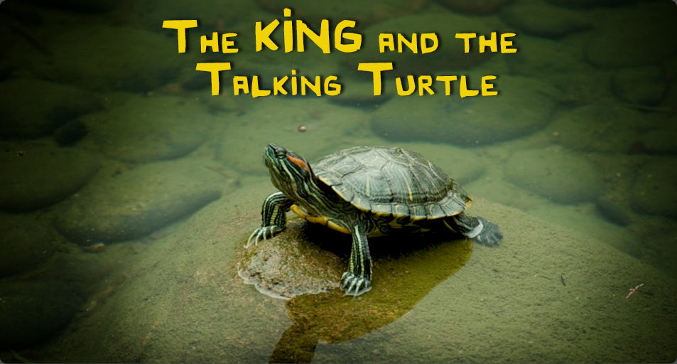 The King And The Talking Turtle